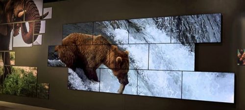 National Geographic Video Wall