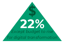 Rising Network Budget for Digital Transformation