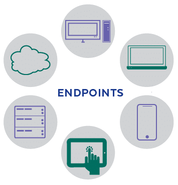 Endpoint Devices